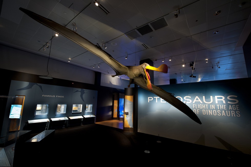 Pterosaurs entrance.jpg