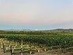 Temecula Valley from the Bottaia Winery.jpg
