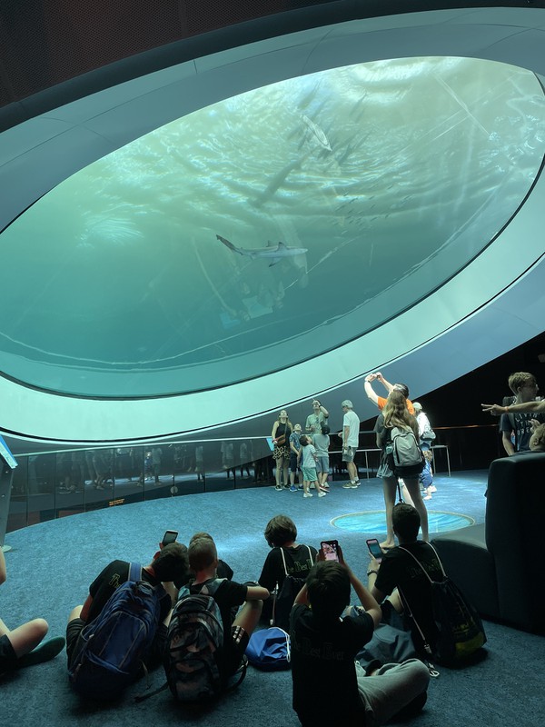 Turtles, Sherlock and Mammoths Await at the Frost Museum of Science -  Biscayne Times