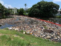 Pollution at the Little River Canal.jpg