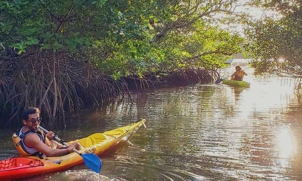Kayaking in the mangroves VKOC.jpg