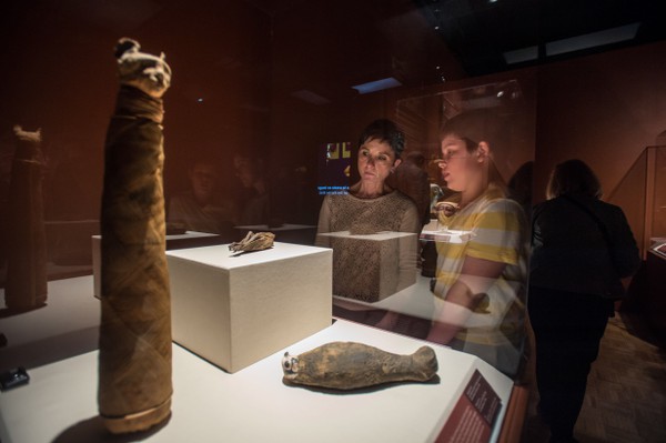 Animal Mummies Unwrapped - The New York Times