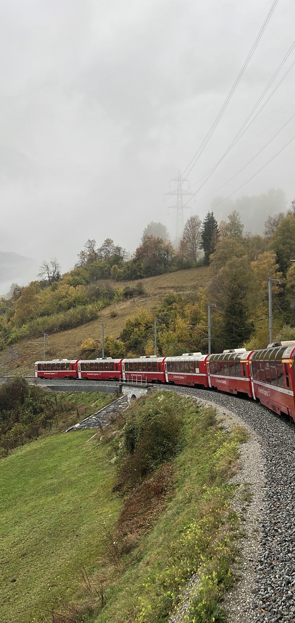 The Bernina Express..jpg