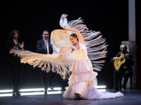 Paula Comitre in Stars of Flamenco - Photo by Remitre Malvarez.jpg
