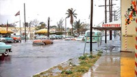 Miami-FL-Flood-and-1950s-Cars-1.jpg