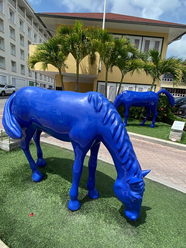 Paarden Bai (Horse Bay) Public Art Project in downtown  Oranjestad, Arube   Lahoma Scarlette for The Biscayne Times.jpg